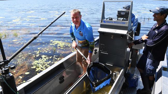 Minister Recreational Fishing Paul Kirby releasing some of the barra into Manton Dam. Picture: Katrina Bridgeford