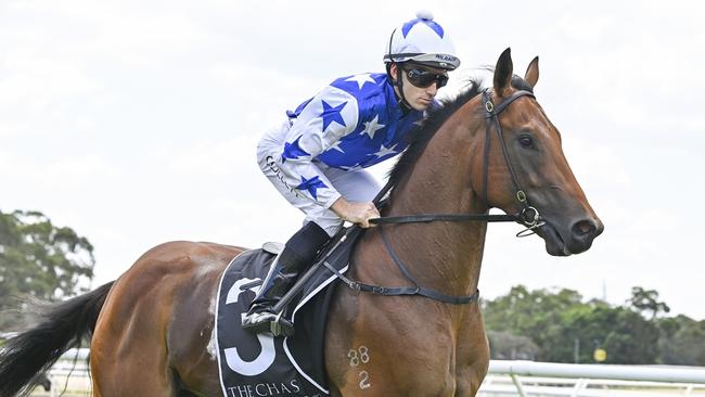 King Of Pop has emerged as Golden Slipper contender after taking out the Black Opal Picture: Bradley Photos