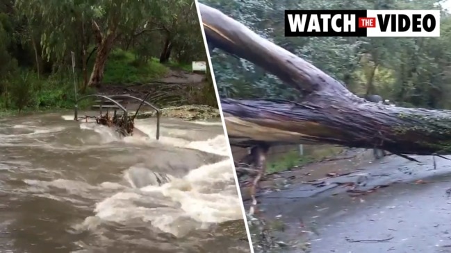 Destructive winds and heavy rain cause chaos in Melbourne