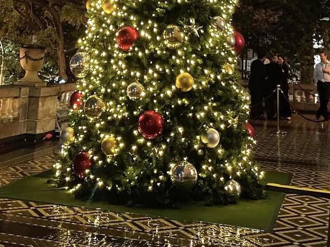 QLD Parliament Christmas Tree.