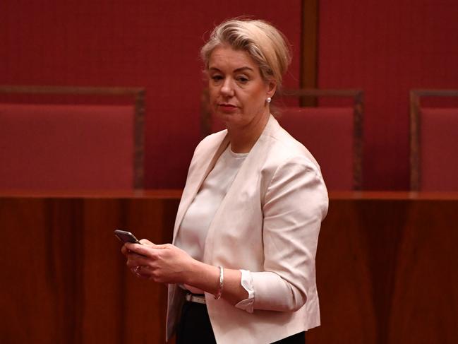 Senator Bridget McKenzie. Picture: AAP