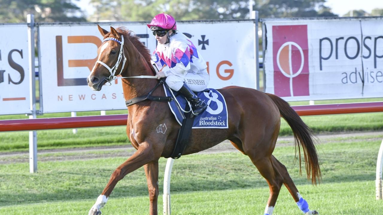 Inverell preview: Mayfield-Smith hoping for a bright spot after the gloom