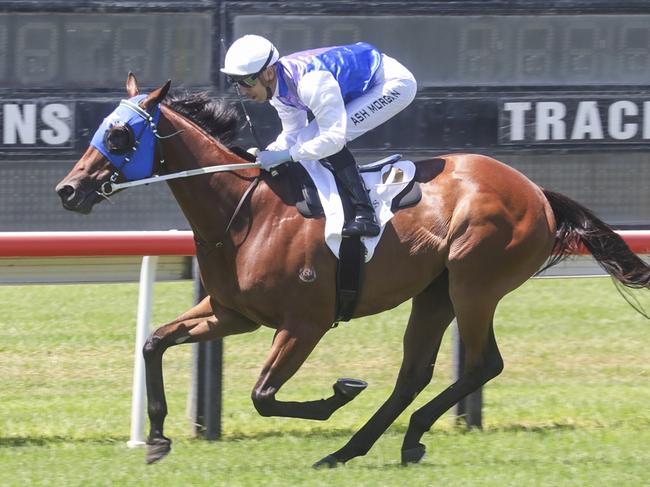 Eclair Vitality, pictured winning at Scone on February 17, is Shayne O'Cass's best bet of the day at Port Macquarie on Monday. Picture: Bradley Photos