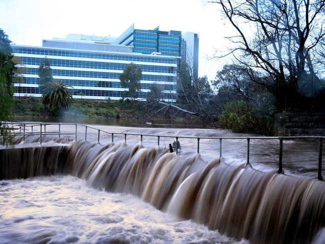 Parramatta River has burst its banks. Photo: Diimex