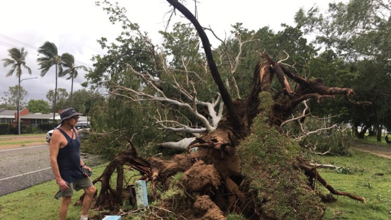 Tropical Cyclone Kirrily 2024 Photos of the morning after storm tore