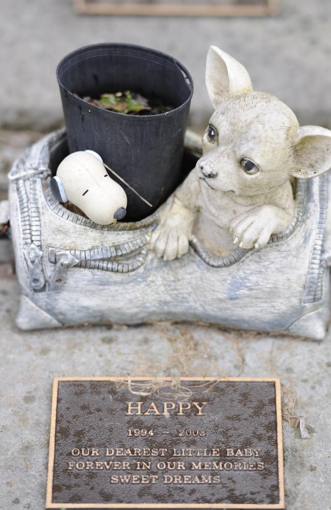 A memorial for Happy the dog.