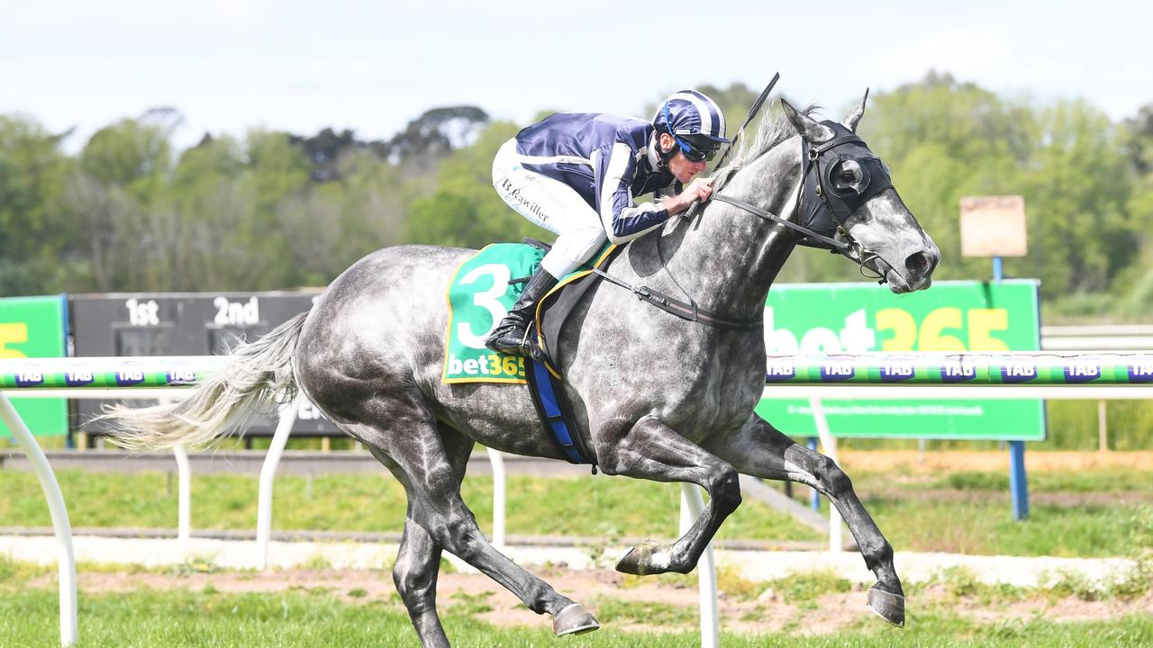 Kyneton Cup Photo Gallery: Punters And Fashions On The Field Set To ...