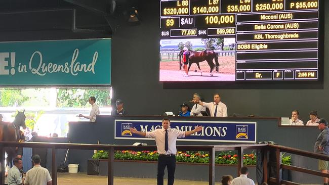 Inside the famous Magic Millions Yearling Sale on the Gold Coast.