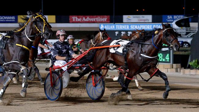 Races at Globe Derby Park are out of the question under the sanctions. Picture: Keryn Stevens