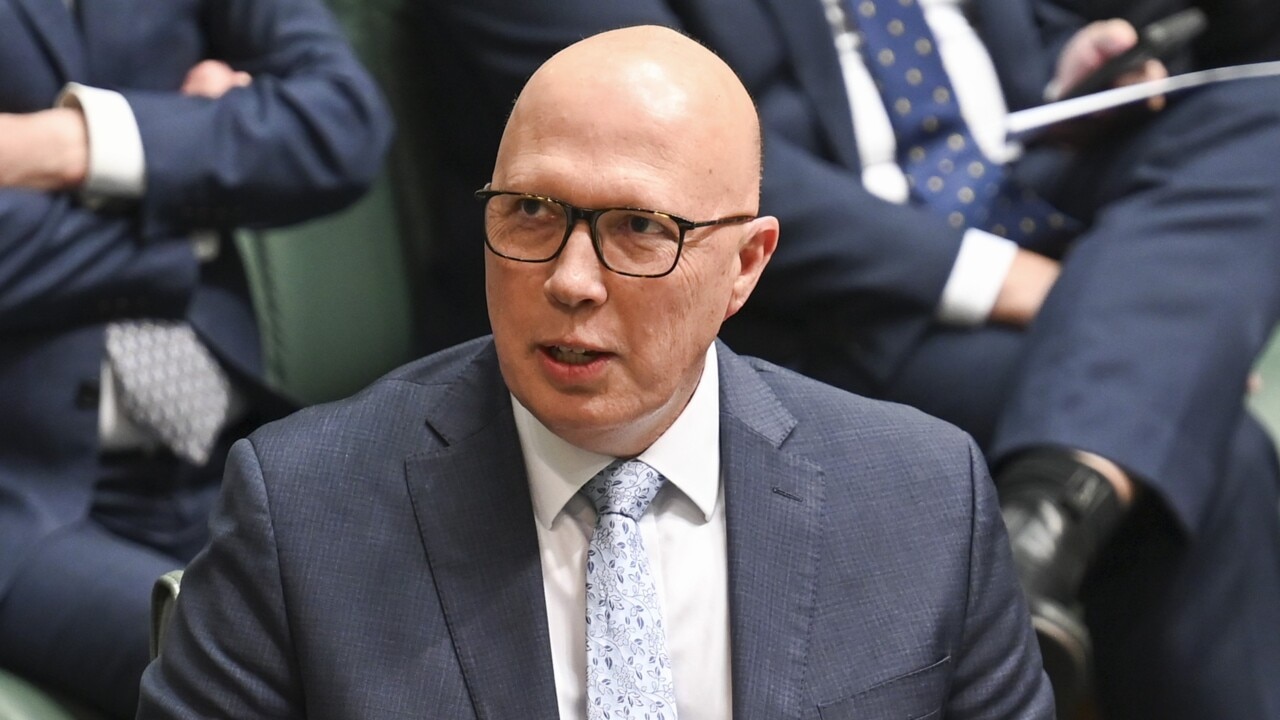 Peter Dutton is 'not remotely racist': Sheridan