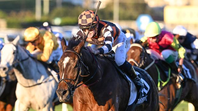 Fawkner Park will tackle the Hollindale Stakes on Saturday Picture: Grant Peters - Trackside Photography.