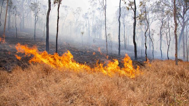 Fires have spread through the Silver Valley Road area. Picture: Brian Cassey