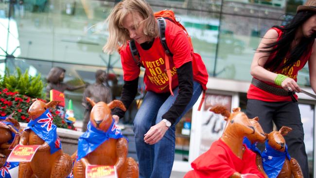 Felicity Farnsworth, a Chicago resident originally from Tecoma, arranges inflated kangaroos during a demonstration in front of a McDonald's restaurant on September 16, 2013 in Chicago, Illinois. Picture: Jonathan Gibby