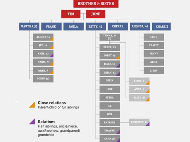 The Colt family tree.