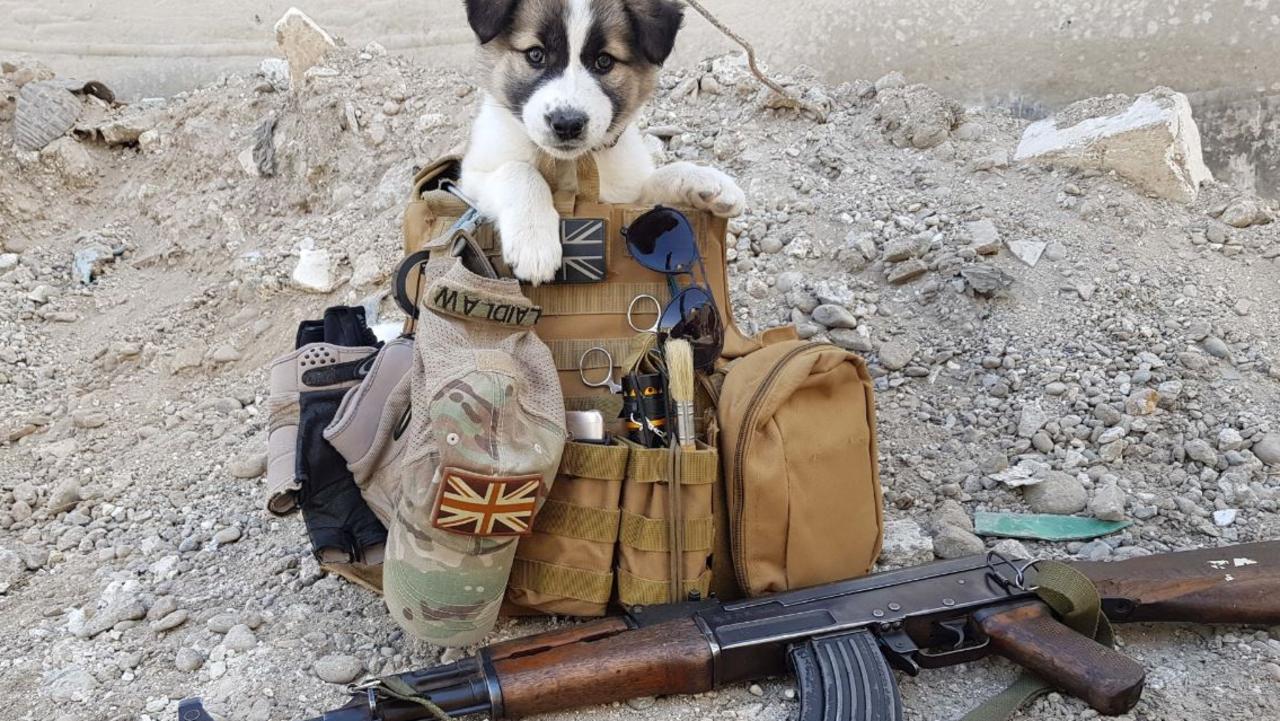 Sean found Barrie in February 2018 in Raqqa, Syria, after hearing whimpering under a slab of concrete near his work site.