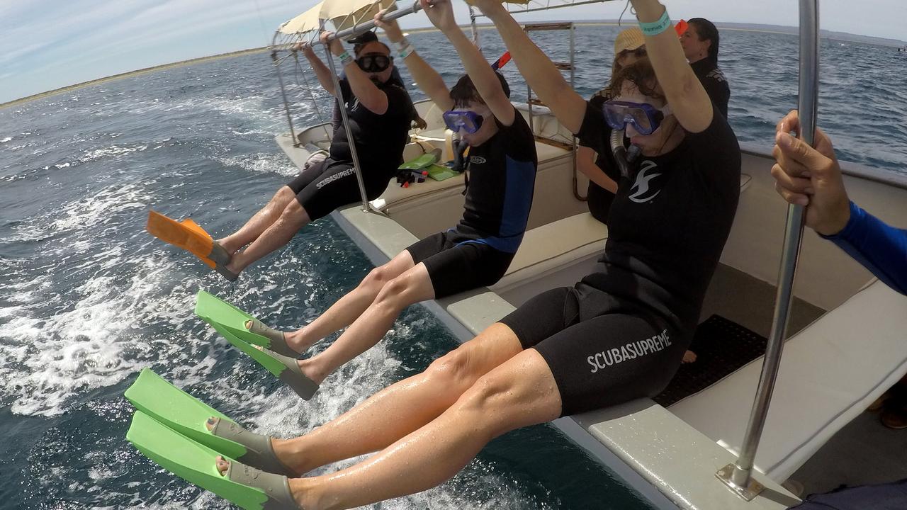 After spotting a shadow while cruising around with our tour guide from Cabo Adventures, we were instructed to jump in the water.