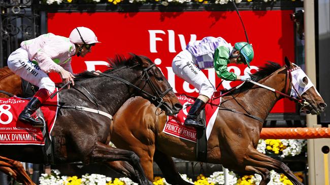 Max Dynamite ran second to Prince Of Penzance in the 2015 Melbourne Cup. Picture: Colleen Petch