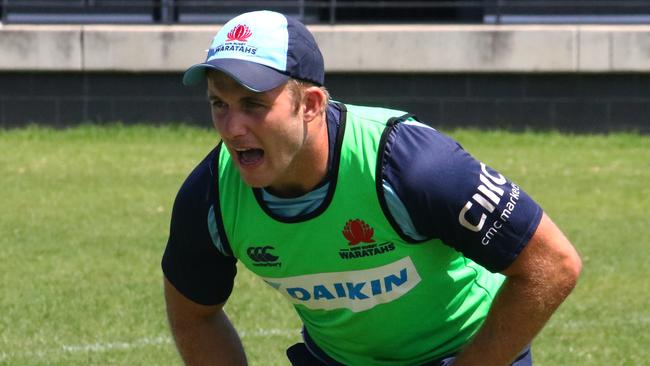 NSW Waratahs player. Will Miller Picture: Jamie Conroy/Waratahs media