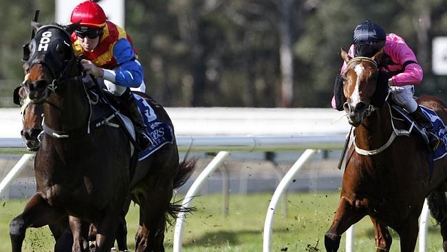 Taxmeifyoucan didn't handle the Melbourne way of going last start and can atone at Rosehill.