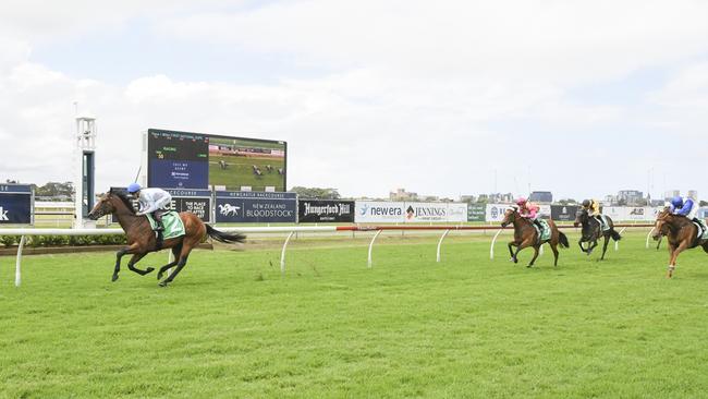 Private Harry wins on debut at Newcastle. Picture: Bradley Photos