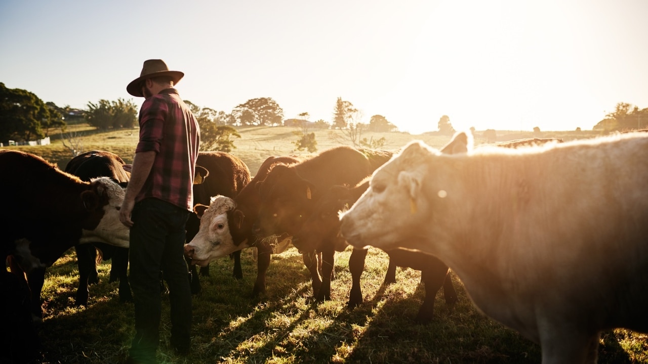 Thousands of farmers set to demonstrate at Parliament House