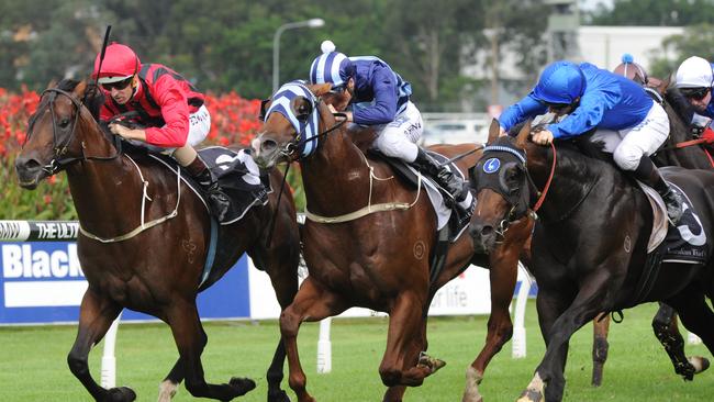 Shooting To Win, centre, takes on the older horses on Saturday. Picture: Simon Bullard