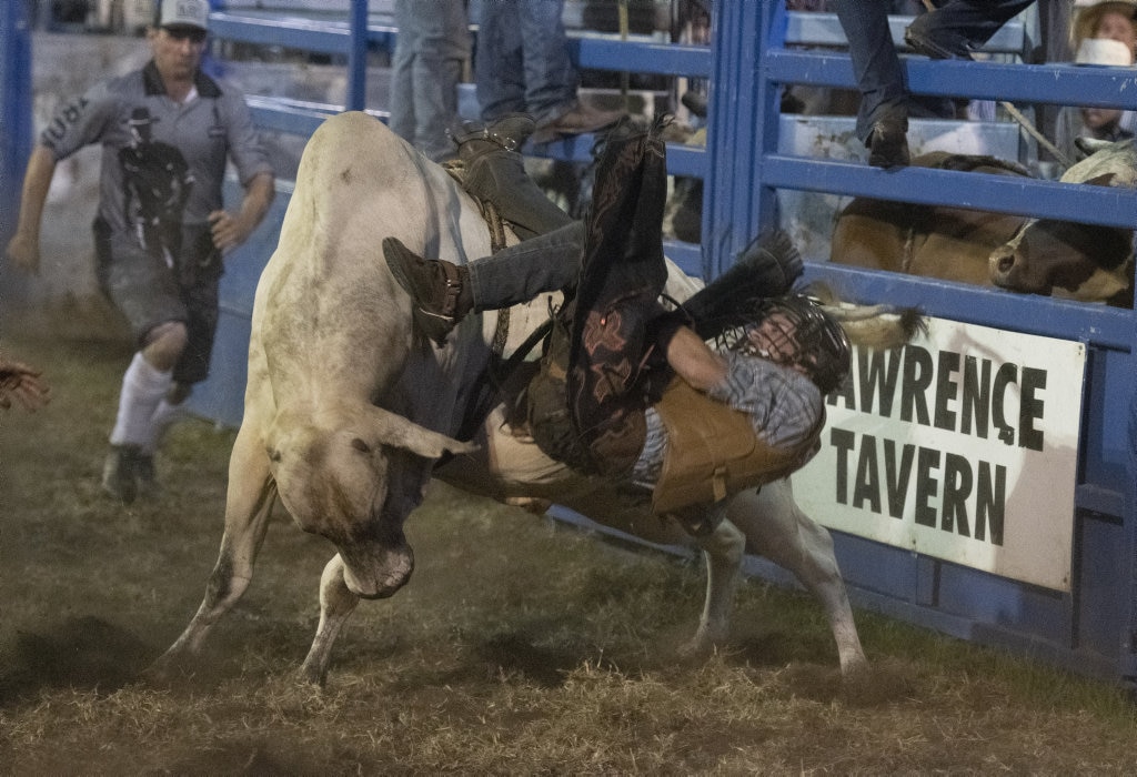 Brock Adams gets in trouble in the junior steer ride at the Lawrence Twilight Rodeo. Picture: Adam Hourigan