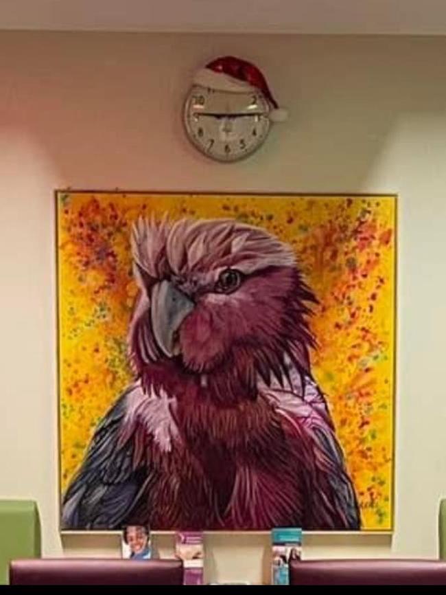 The painting of Wally the galah, where it usually sits on the wall in the Lyell McEwin Hospital's cardiology unit.