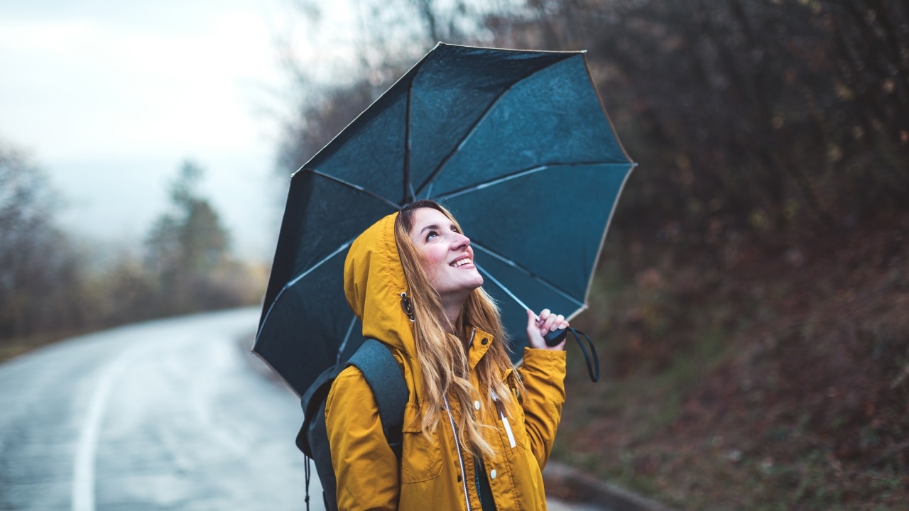 Good umbrellas hot sale for wind