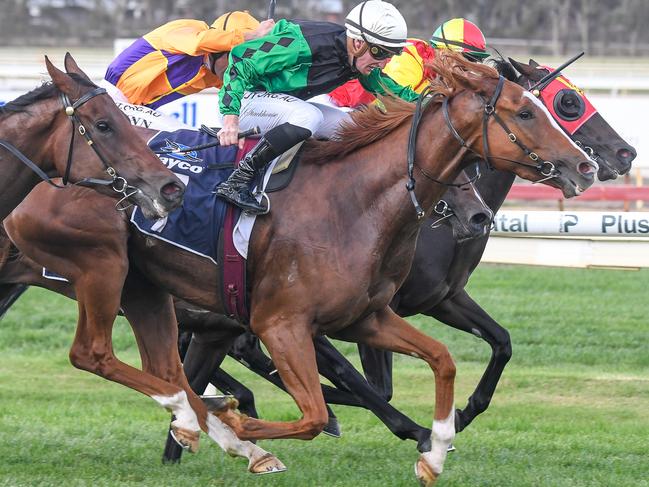 Riddle Me That takes out the Bendigo Guineas in a thrilling finish.