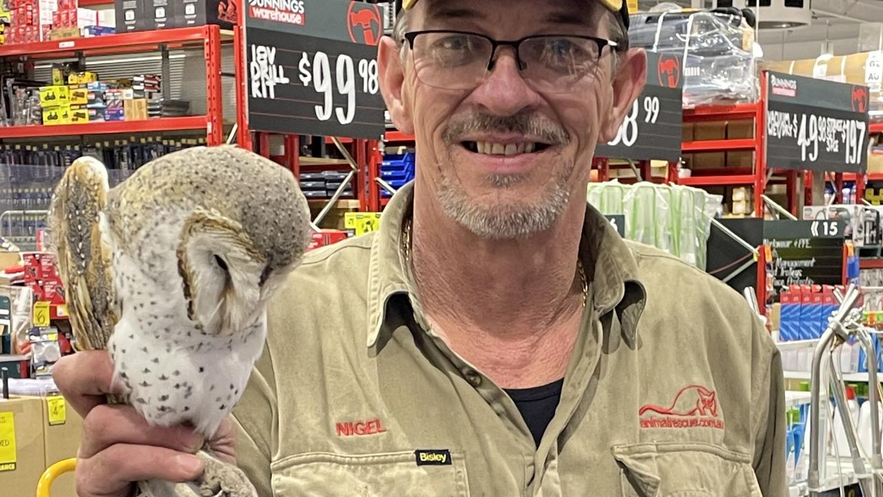 Nigel's Animal Rescue director Nigel Williamson was able to save the owl. Picture: supplied