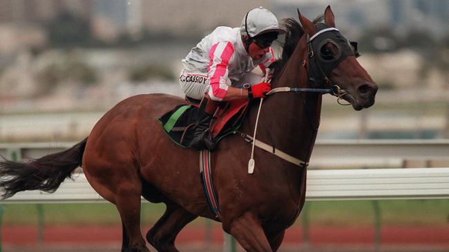 Might And Power was a sight to behold in full flight. Jockey Jim Cassidy won seven times on the great horse.