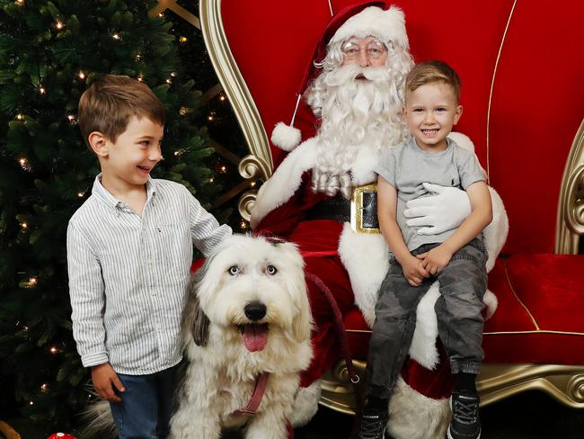 Santa poses with Hermeyes Markus and his twin brother Phoenix with their pet sheepdog Bonny. Picture: Rohan Kelly