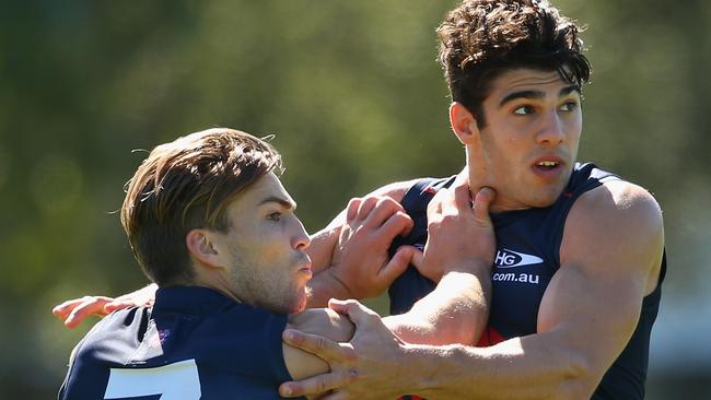 MELBOURNE, AUSTRALIA - MARCH 21: Jack Viney and Christian Petracca of the Demons compete for a mark during a Melbourne Demons AFL training session at Gosch's Paddock on March 21, 2016 in Melbourne, Australia. (Photo by Quinn Rooney/Getty Images)