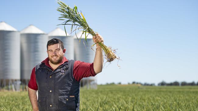 Agronomist Rob Fox pictured in a crop of wheat. Picture: Zoe Phillips