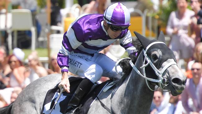 Lucicello is a big chance to bounce back to winning form at Rosehill Gardens. Picture: AAP