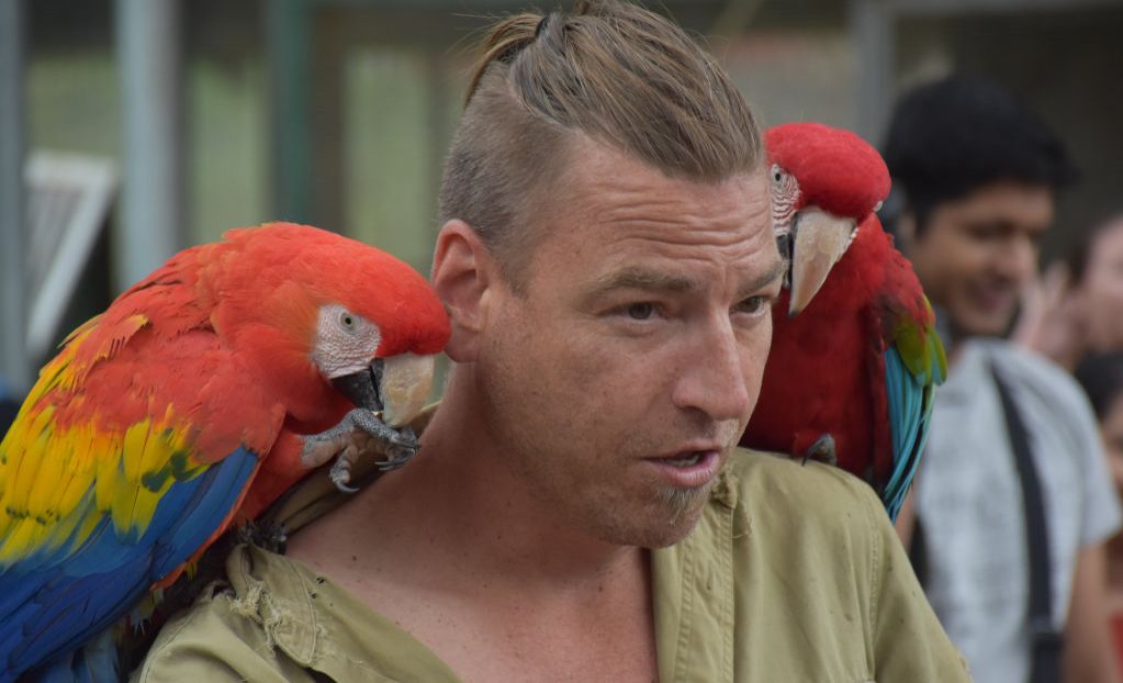 Getting up close with the birds at Maleny Botanic Gardens and Bird World. Picture: Mark Furler
