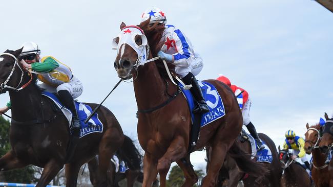 Consistent galloper Take The Prize should again prove hard to run down at Friday’s Ballarat Synthetic meeting. Picture: Racing Photos via Getty Images