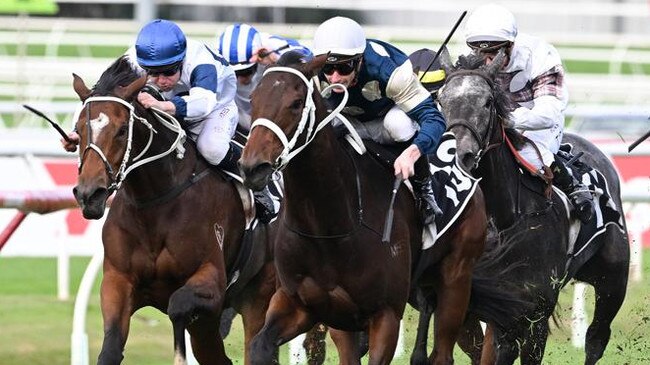 Scarlet Oak wins The Roses. Picture: Grant Peters / Trackside Photography