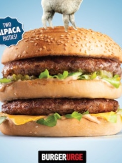 The Big Pac burger is under fire, with McDonald's calling for it to be pulled from a small burger chain for being too similar to the Big Mac.