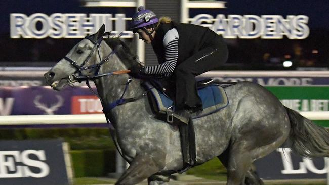 Chautauqua will begin his climb to The Everest in The Shorts on Saturday.