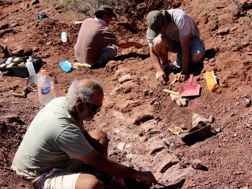 Handout picture released on January 20, 2021 by the CTyS-UNLaM Science Outreach Agency showing palaeontologists during an excavation in which 98 million-year-old fossils were found, at the Candeleros Formation in the Neuquen River Valley in southwest Argentina. - Scientists have unearthed massive, 98-million-year-old fossils in southwest Argentina they say may have belonged to the largest dinosaur ever discovered. Human-sized pieces of fossilized bone belonging to the giant sauropod appear to be 10-20 percent larger than those attributed to Patagotitan mayorum, the biggest dinosaur ever identified, according to a statement Wednesday from the National University of La Matanza's CTYS scientific agency. (Photo by Jose Luis CARBALLIDO / CTyS-UNLaM / AFP) / RESTRICTED TO EDITORIAL USE - MANDATORY CREDIT AFP PHOTO / CTyS-UNLaM / JOSE LUIS CARBALLIDO - NO MARKETING NO ADVERTISING CAMPAIGNS -DISTRIBUTED AS A SERVICE TO CLIENTS