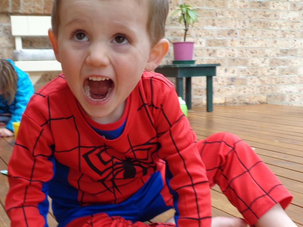 William Tyrrell disappeared from his foster grandmother’s house in 2014. Photo: NSW Police.