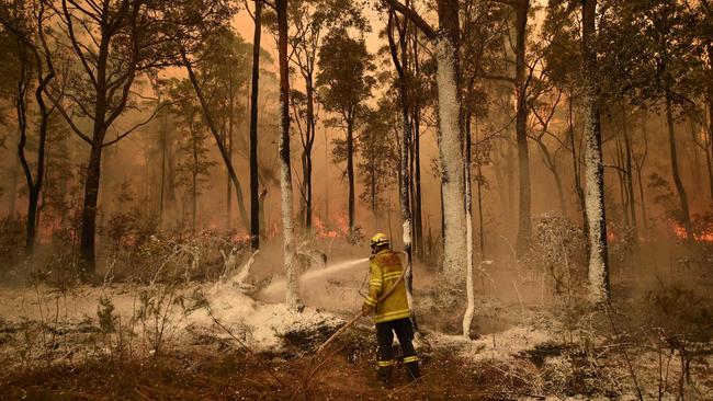 A firefighter conducts a backburn near Jerrawangala in NSW Picture: AFP