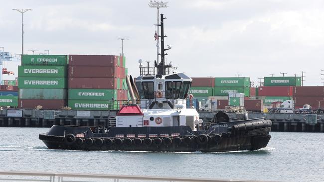 The San Pedro Port in California where Australian Border Force inspector and Operation Jardena supply chain liaison officer, Vanessa Ruff is based. Picture: Coleman-Rayner