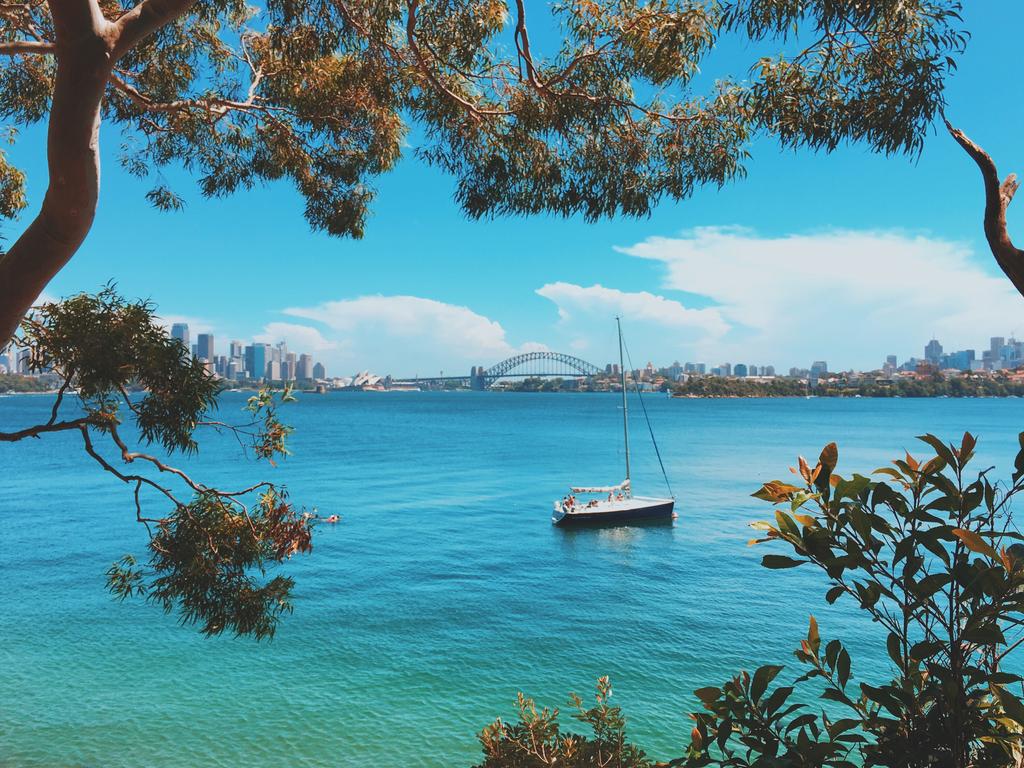 Sydney scientists tracked the movement of 40 sharks in the harbour, revealing warmer water temperatures in January and February were the peak times for the predators.