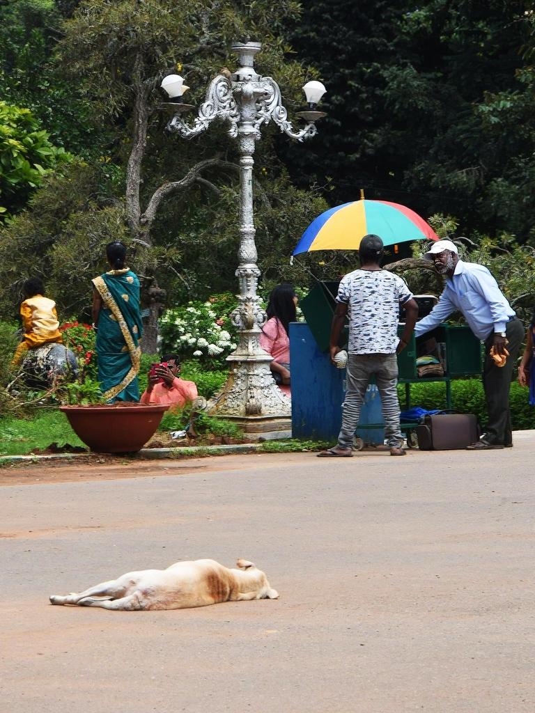 Lalbagh Botanical Gardens. Picture: Victoria Nielsen/news.com.au