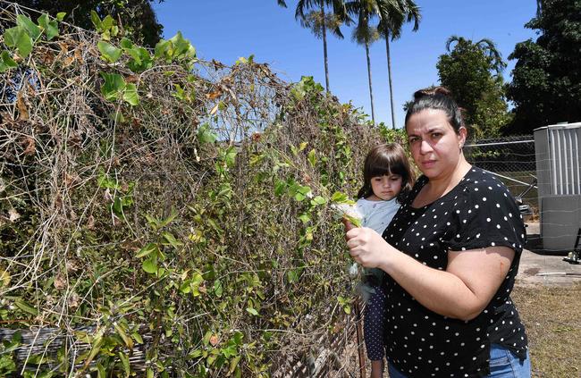 Irene Kossaris with daughter Sevasti Kossaris at her back fence which has been destroyed by overgrowth from the property next door which has been left vacant for years. Picture: Katrina Bridgeford