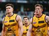 Hawks hit 96-year low in AFL thrashing