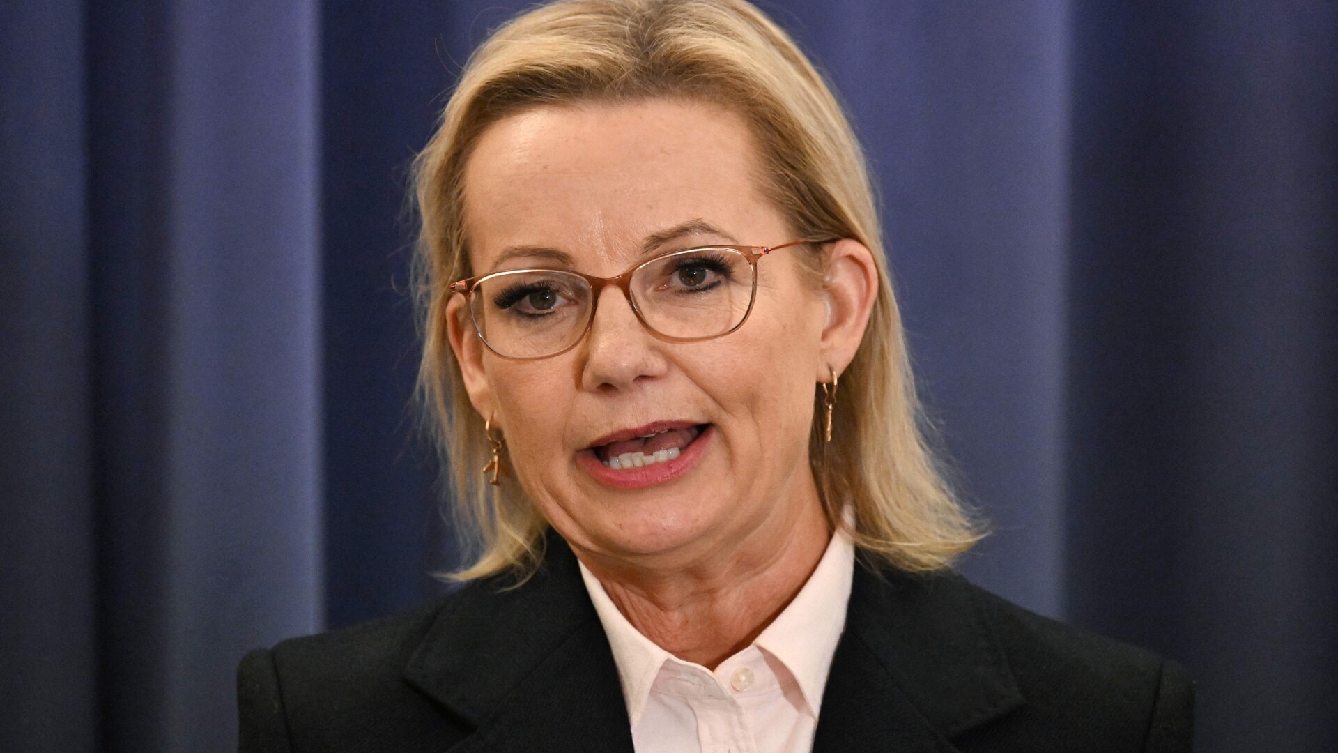 Sussan Ley says door remains open to Nationals following Coalition split